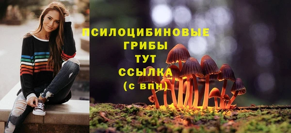не бодяженный Кодинск