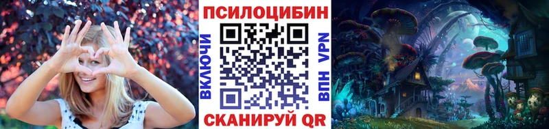 Купить  Сясьстрой  Псилоцибиновые грибы GOLDEN TEACHER 