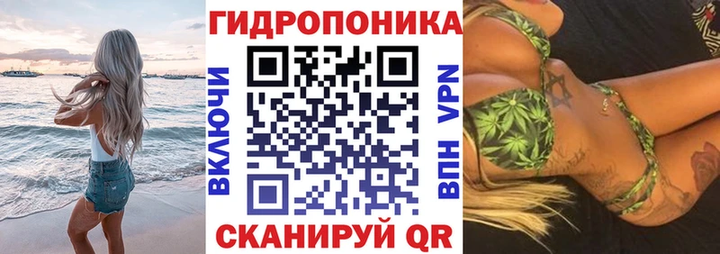 Каннабис гибрид Купить где Сясьстрой
